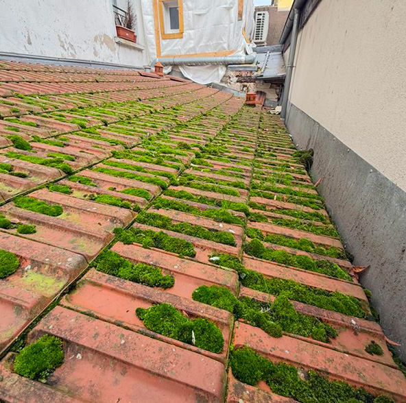 FLK Couverture Charpente Facade - Couverture, Charpente & Zinguerie à Thionville (57100) en Moselle (57)